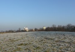 Winter in The Park Wallpaper