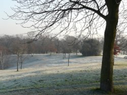 Winter in The Park Wallpaper