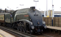 Living History Wallpaper