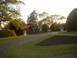 Cliffs Garden