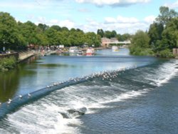 Chester in May Wallpaper