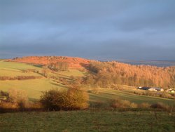 Big Wood and Robin Hoods Stride, Elton Wallpaper