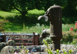 Great tit leaves for more food for its young