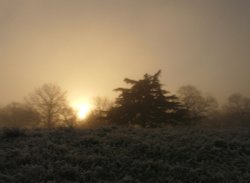 The Park in Winter Wallpaper