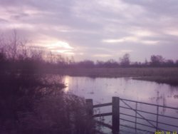 The wildfowl reserve early morning