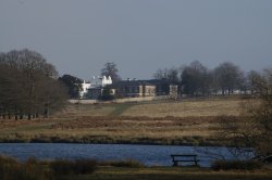 Richmond Park Wallpaper