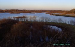Chainbridge Nature Reserve Wallpaper