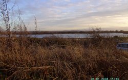 Chainbridge Nature Reserve