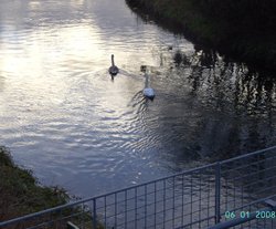 Chainbridge Nature Reserve