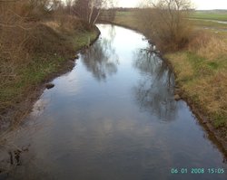 Chainbridge Nature Reserve Wallpaper