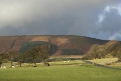 FairOak Fell, Bowland with Leagram Wallpaper