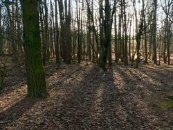 Coombe Abbey Country Park, Binley, Warwickshire