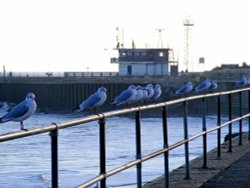 Harbour at Great Yarmouth, Norfolk Wallpaper