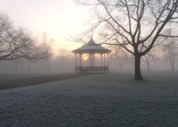 Winter in the Park, Greenwich, Greater London Wallpaper