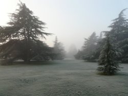 Winter in Greenwich Park, Greater London