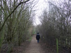 Dedham Vale, Suffolk Wallpaper