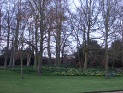 The gardens at Oxburgh Hall Wallpaper