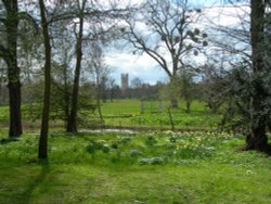 Magdalen College, Oxford Wallpaper