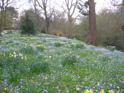 Perfection! Wallpaper