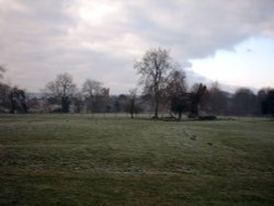 Great Wishford Farmland Wallpaper