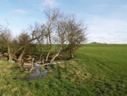 Hill near Quainton, Bucks