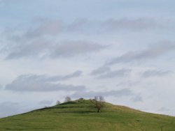 Hill near Quainton, Buckinghamshire
