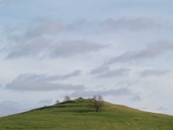 Hill near Quainton, Buckinghamshire
