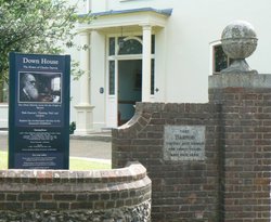 Down House Wallpaper