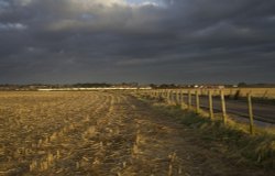 Catch of sunlight Wallpaper