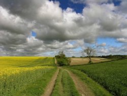 Footpath from Risby to Walkington, East Riding of Yorkshire Wallpaper