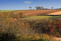 Autumn View Near South Cave, East Riding of Yorkshire Wallpaper