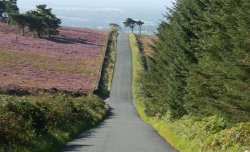 Jeffrey Hill, Longridge, Lancashire Wallpaper