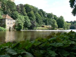 The Old Fulling Mill, Durham, County Durham Wallpaper