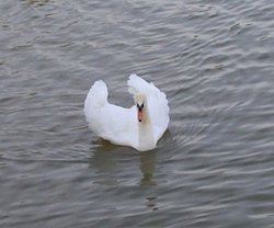 Ulley Country Park, South Yorkshire