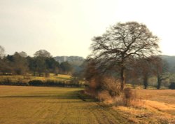 Brantingham Dale View, East Riding of Yorkshire Wallpaper