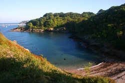 Churston Cove, Nr Brixham, Devon Wallpaper