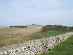 Hadrian's Wall at Housesteads, Northumberland Wallpaper