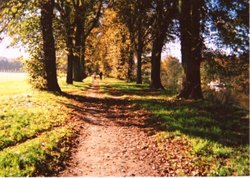 Beside the Severn, Worcester, Worcestershire