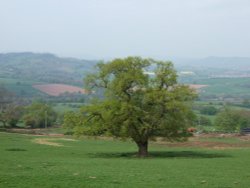 The Wye Valley south of Monmouth, Monmouthshire