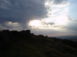 Chevin Forest Park, Otley, West Yorkshire Wallpaper