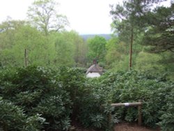 Clouds Hill, Wareham, Dorset Wallpaper