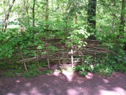 Wooden Weaving, Bicester, Oxfordshire