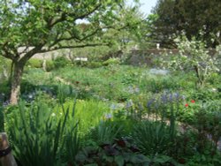 The garden at Charleston Farmhouse, West Firle, East Sussex Wallpaper