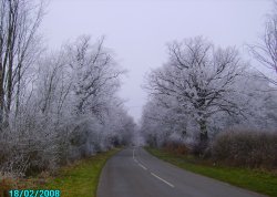 Winterland, Worksop, Nottinghamshire