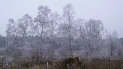 Winterland, Worksop, Nottinghamshire Wallpaper