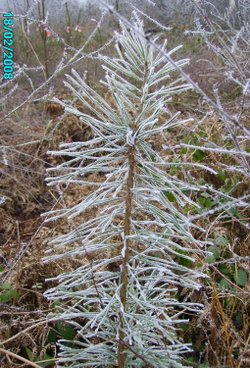 Winterland, Worksop, Nottinghamshire