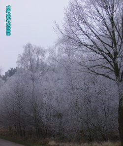 Winterland, Worksop, Nottinghamshire