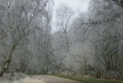 Winterland, Worksop, Nottinghamshire Wallpaper