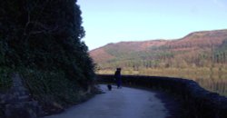 The Reservoir Wallpaper