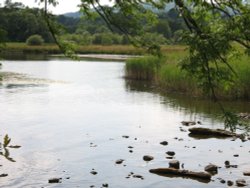 Windermere at Waterhead Wallpaper